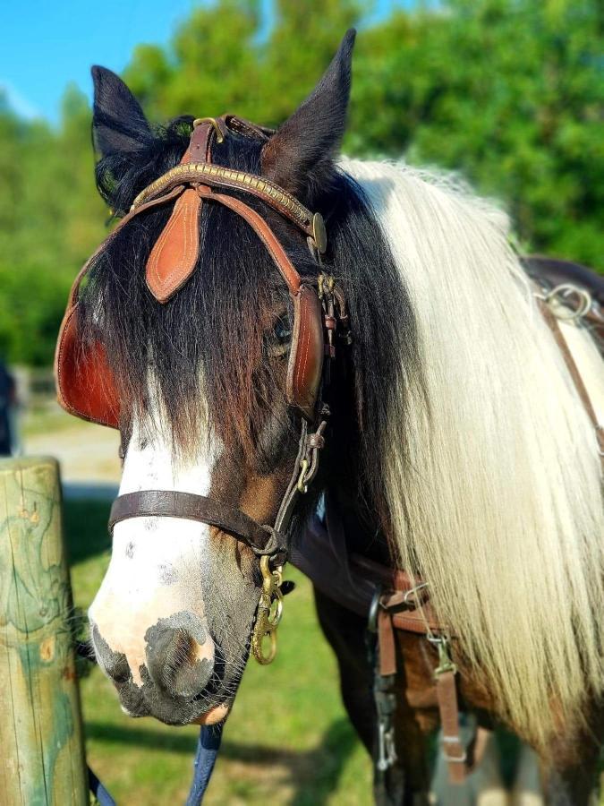 فندق Les Chevaux De L'Hippocampe Mont-Dol المظهر الخارجي الصورة