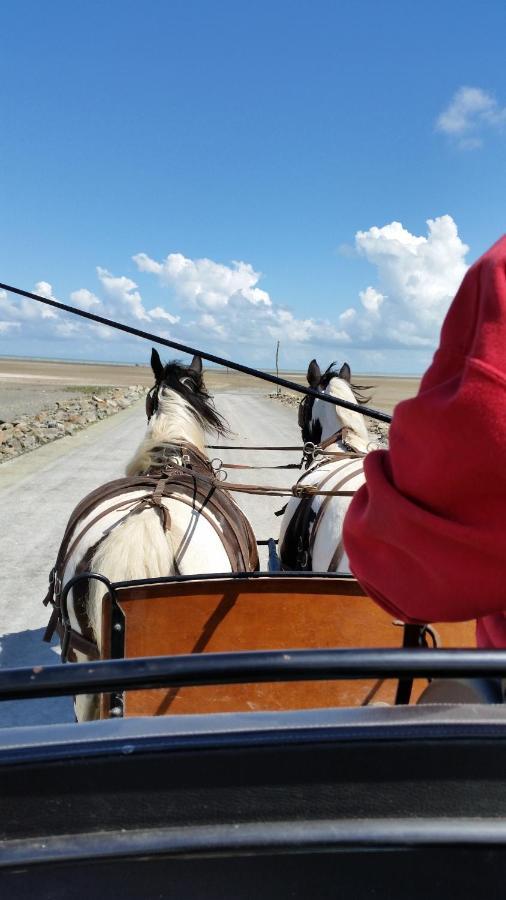 فندق Les Chevaux De L'Hippocampe Mont-Dol المظهر الخارجي الصورة